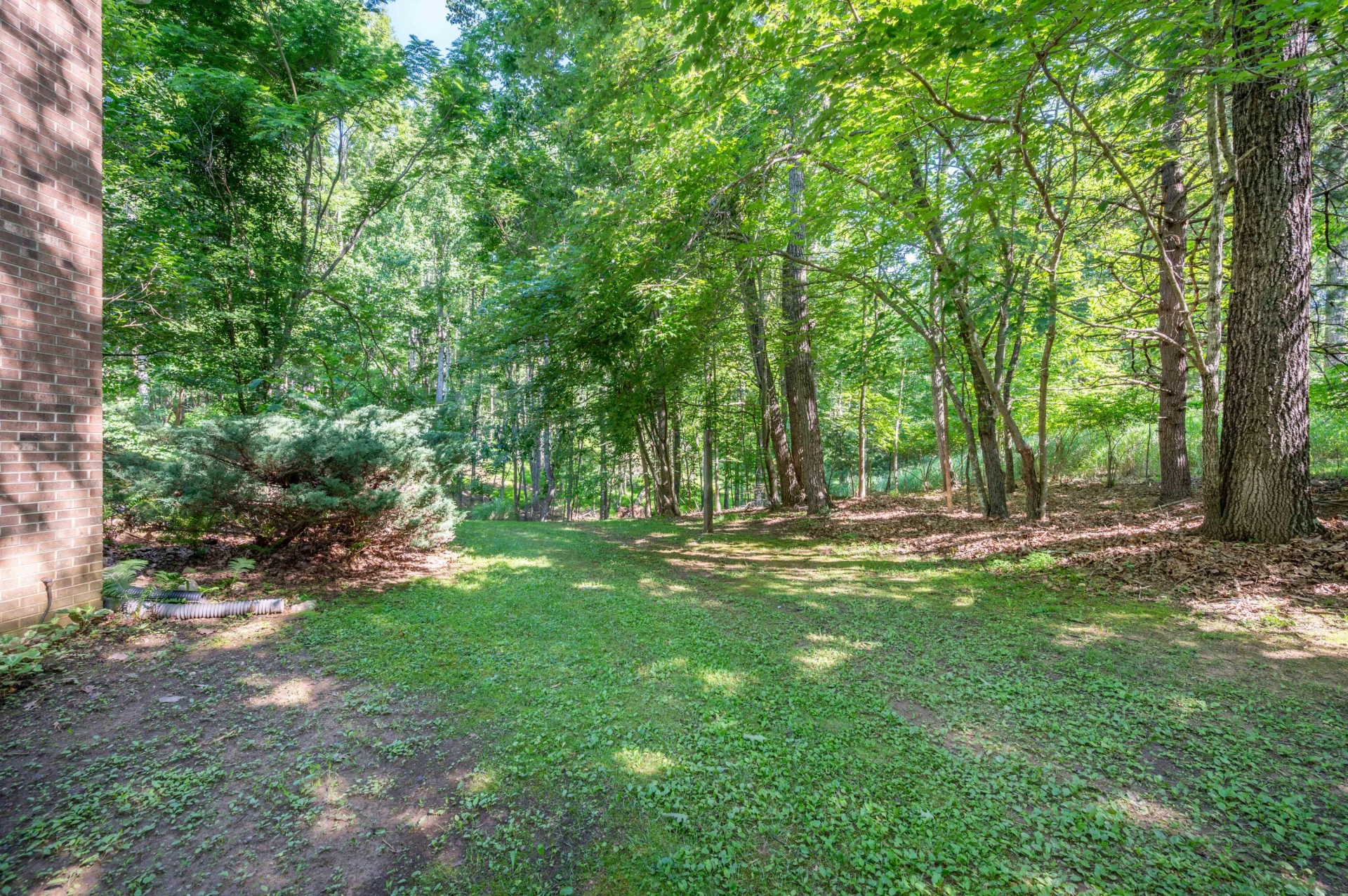 145 White Oak DR - Photo 57