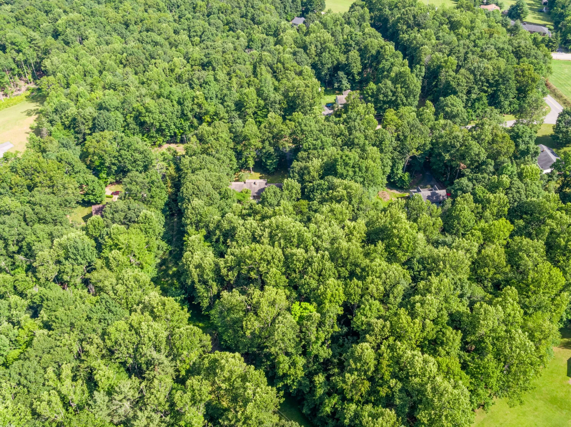 145 White Oak DR - Photo 70