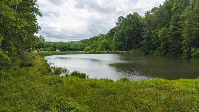 0 Ferney Creek RD, Willis, VA, 24380