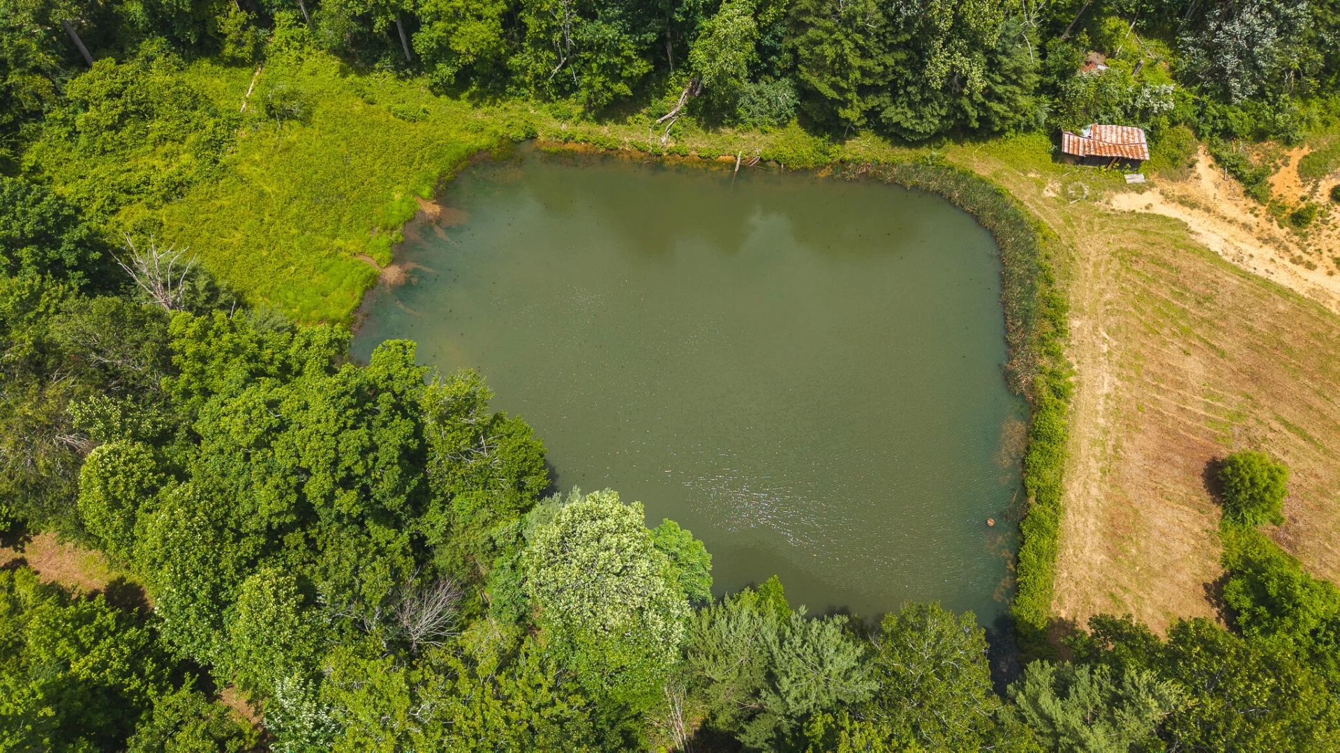 0 Ferney Creek RD - Photo 11