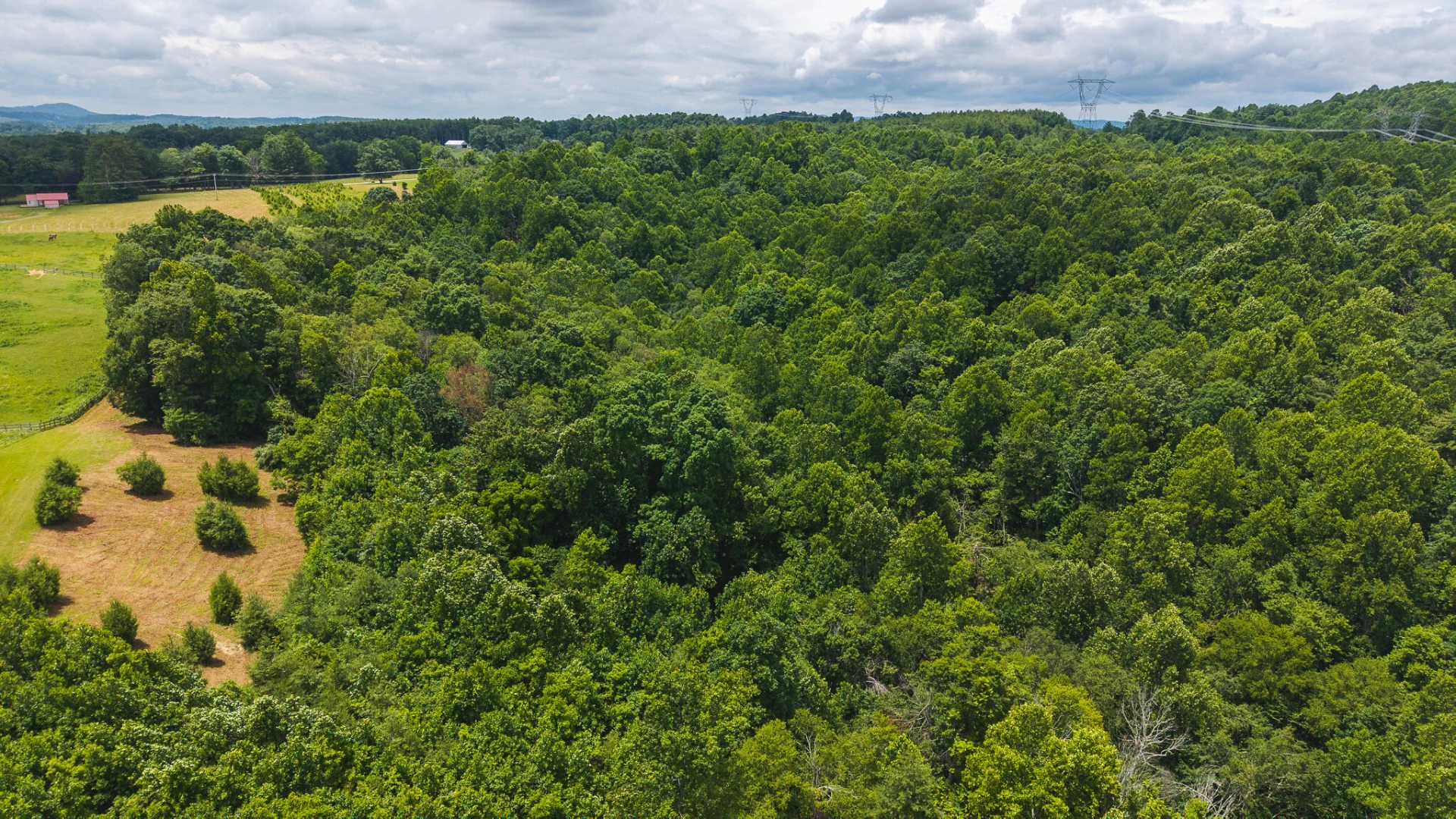 0 Ferney Creek RD - Photo 12