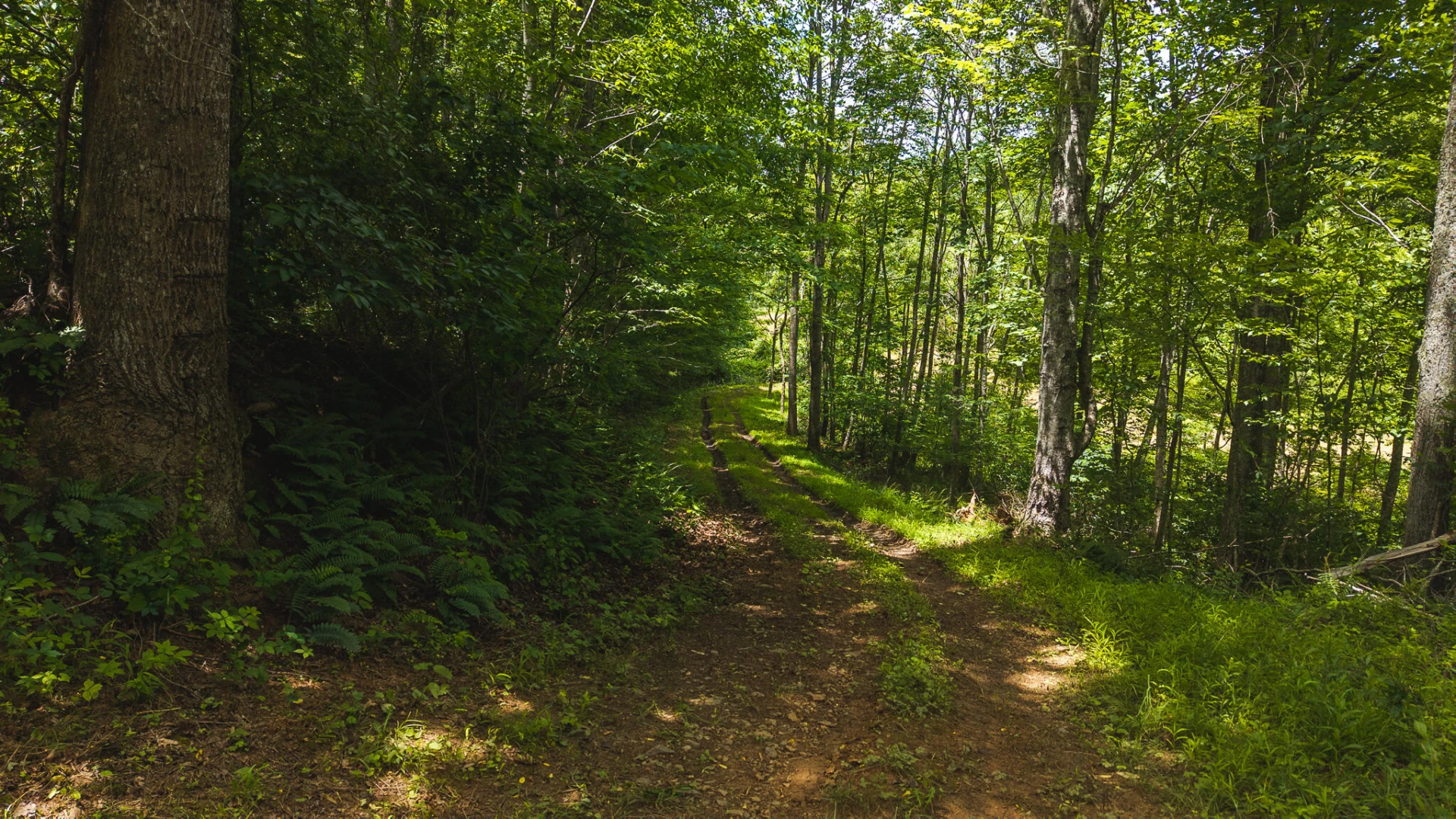 0 Ferney Creek RD - Photo 13