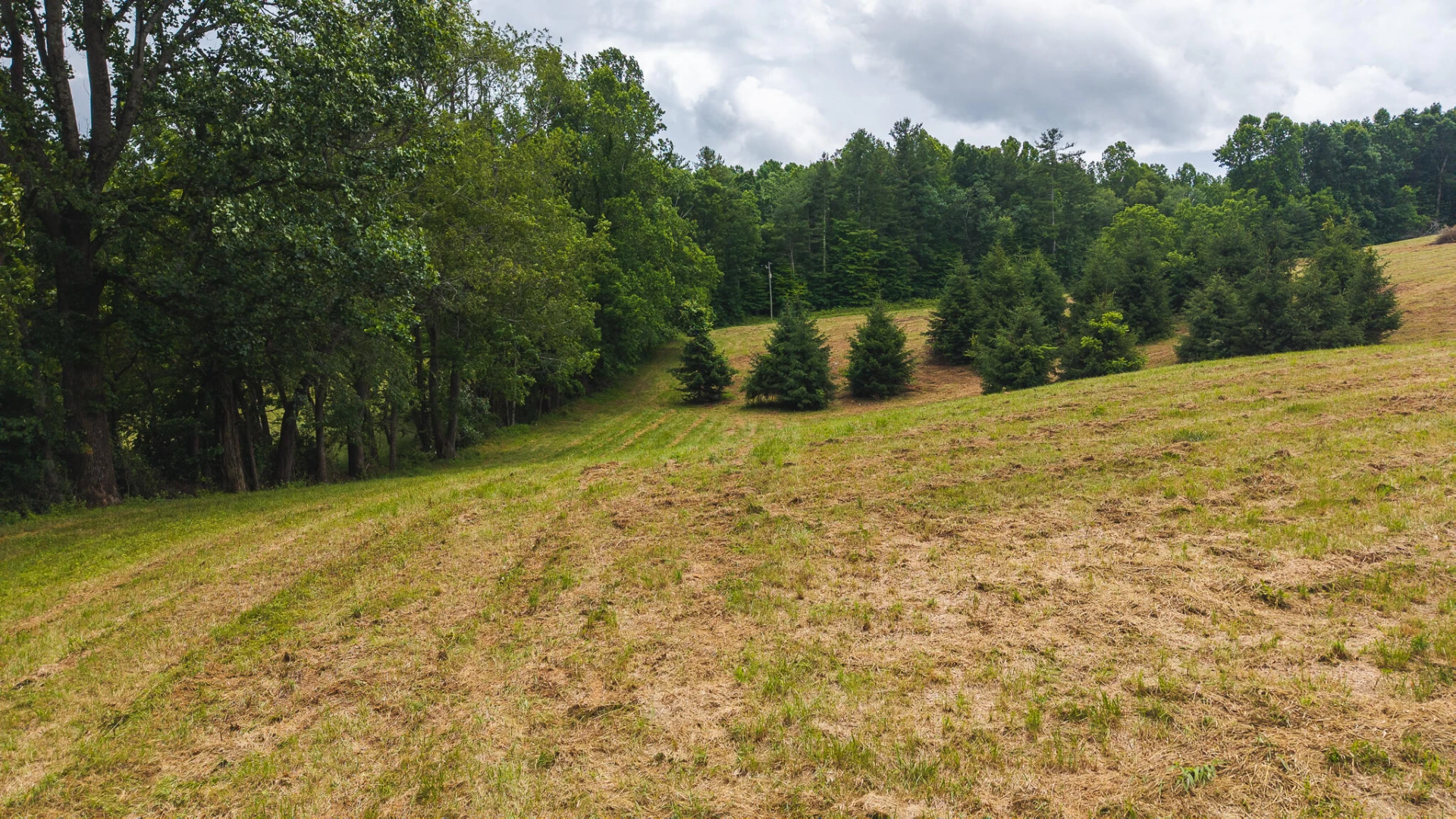 0 Ferney Creek RD - Photo 14