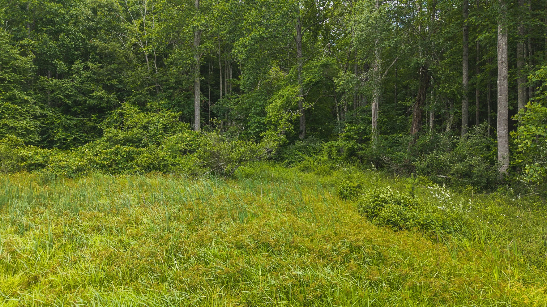 0 Ferney Creek RD - Photo 17