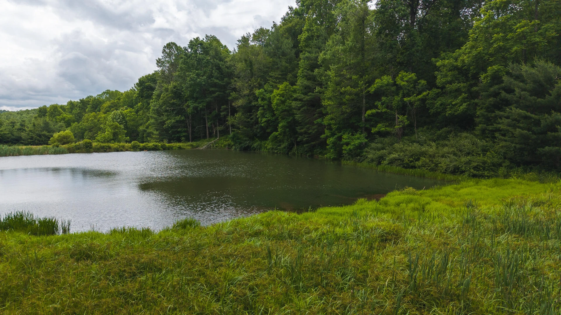 0 Ferney Creek RD - Photo 18