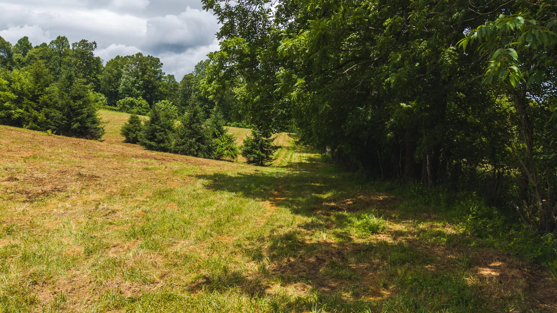 0 Ferney Creek RD - Photo 2