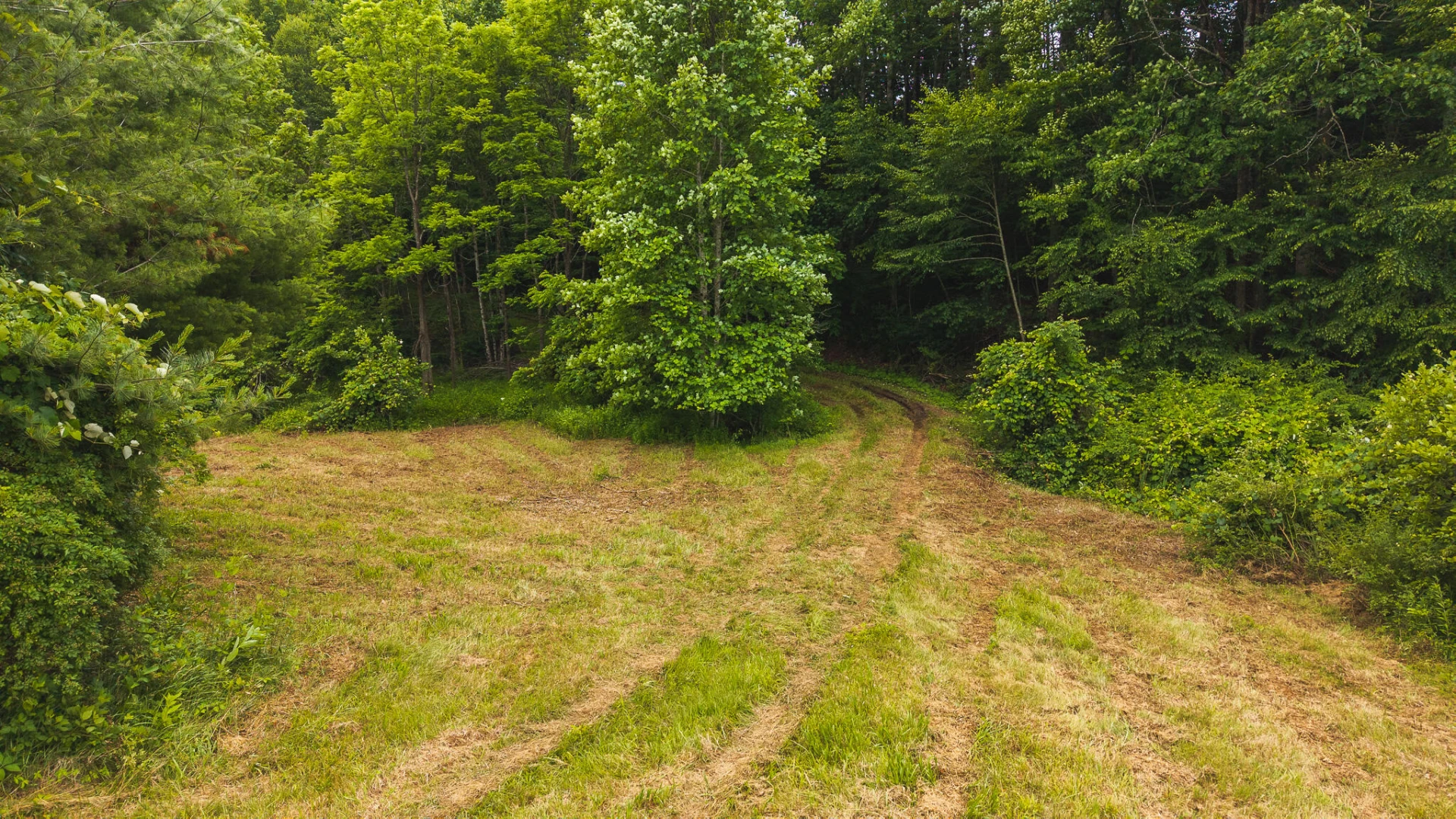 0 Ferney Creek RD - Photo 20
