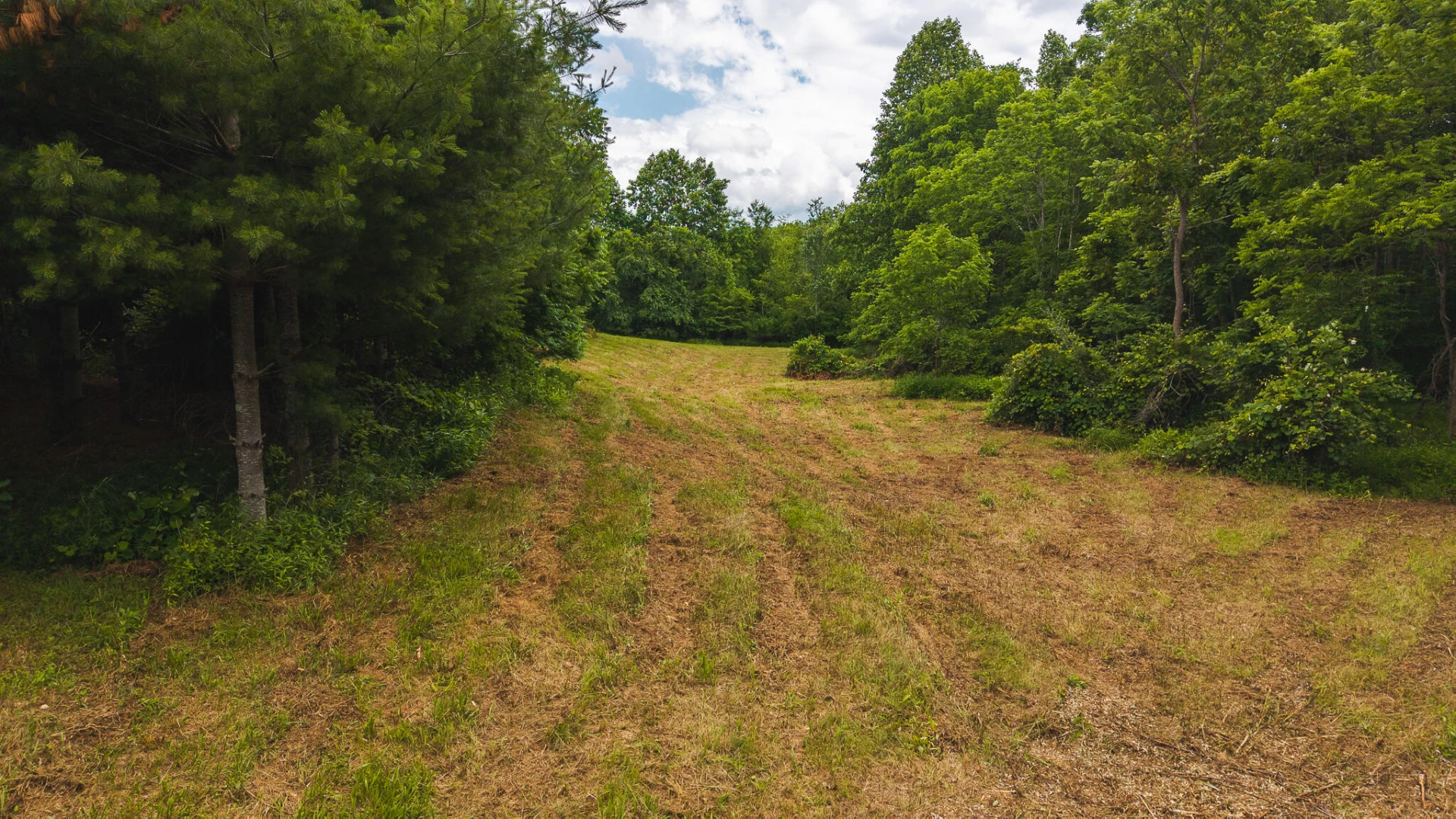 0 Ferney Creek RD - Photo 21