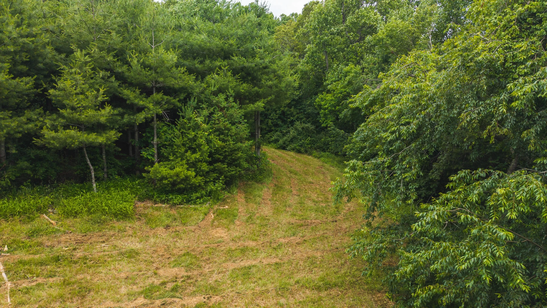 0 Ferney Creek RD - Photo 22