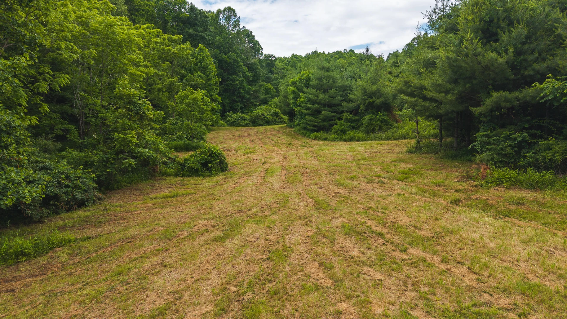 0 Ferney Creek RD - Photo 23