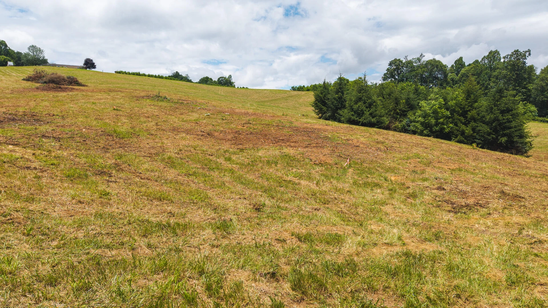 0 Ferney Creek RD - Photo 4
