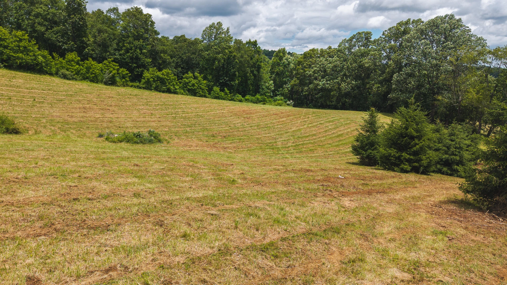 0 Ferney Creek RD - Photo 6
