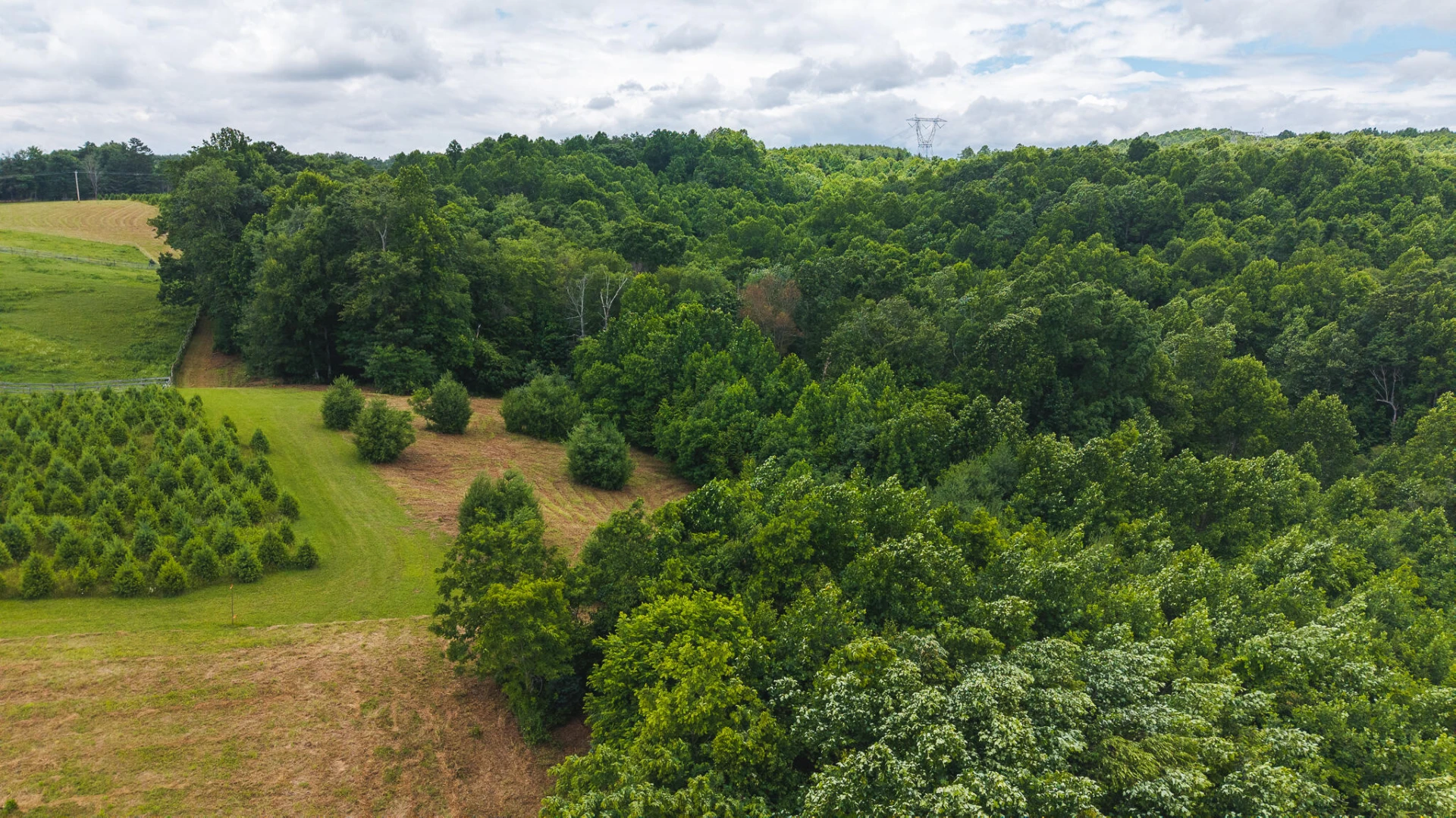 0 Ferney Creek RD - Photo 9