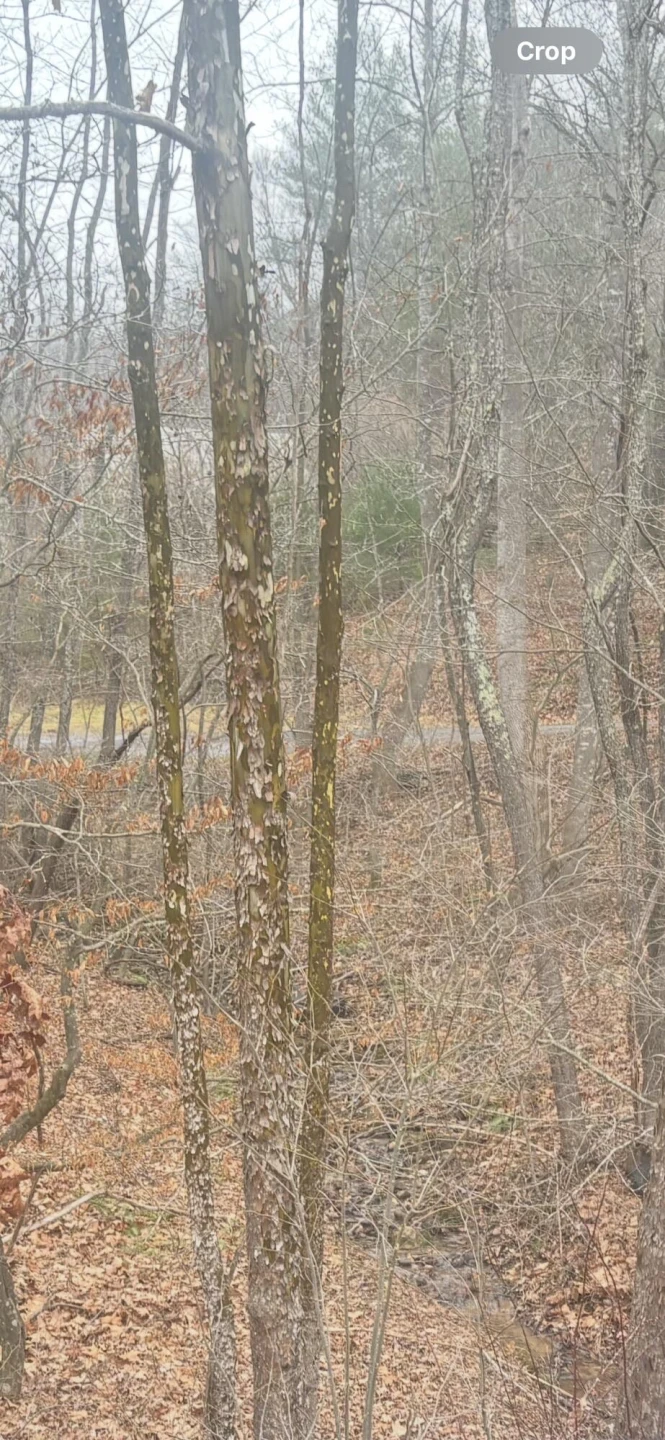 0 Turners Creek RD