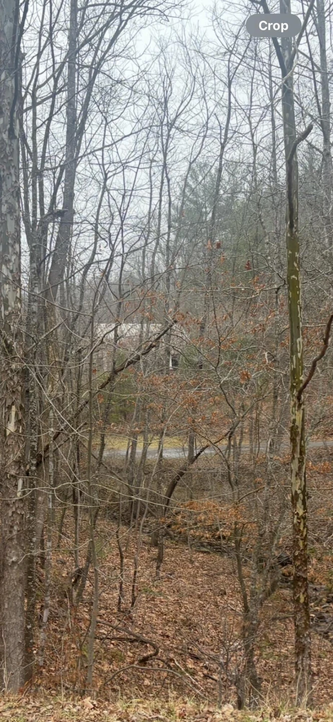 0 Turners Creek RD - Photo 2