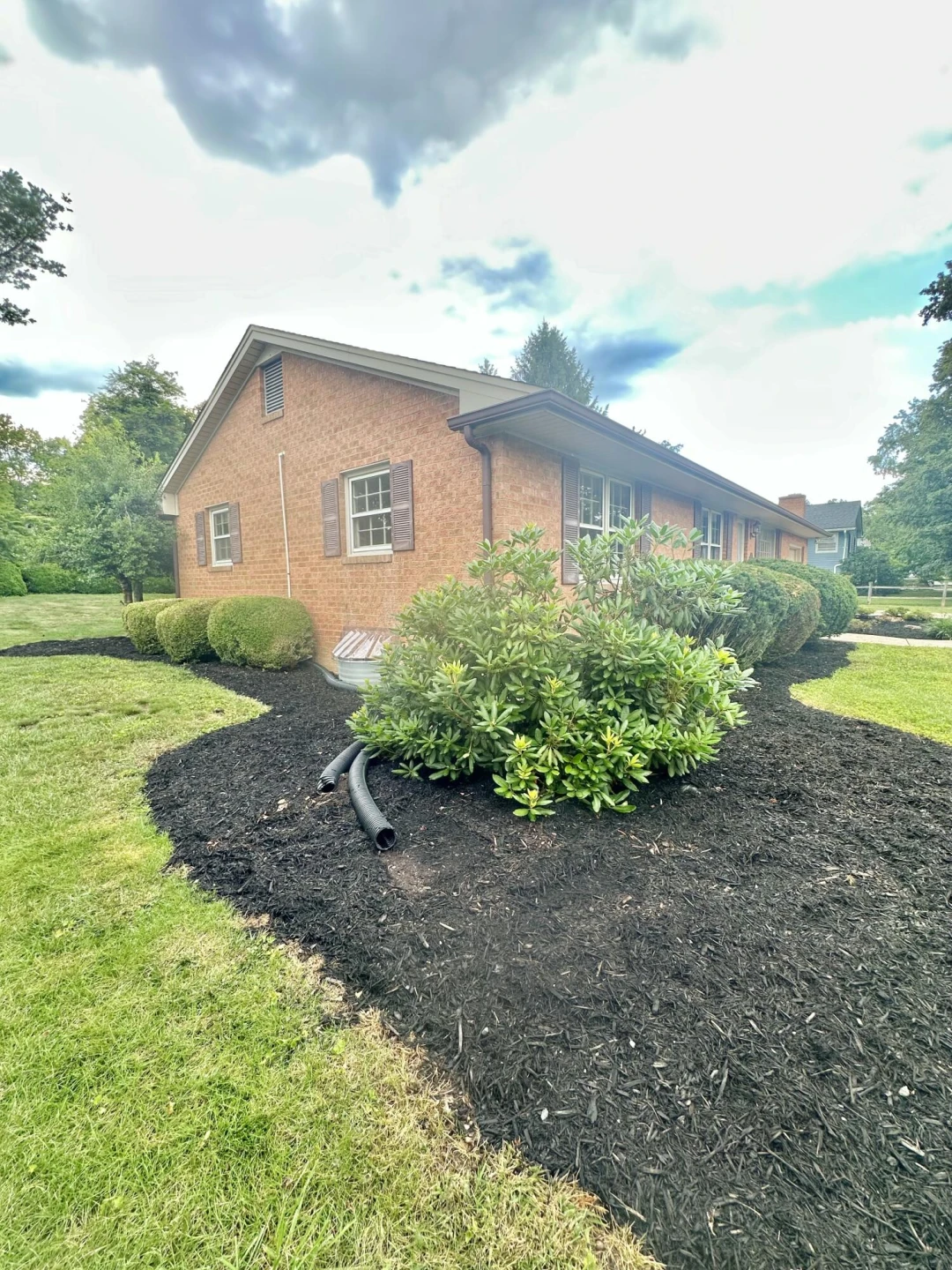1703 Jefferson AVE - Photo 6