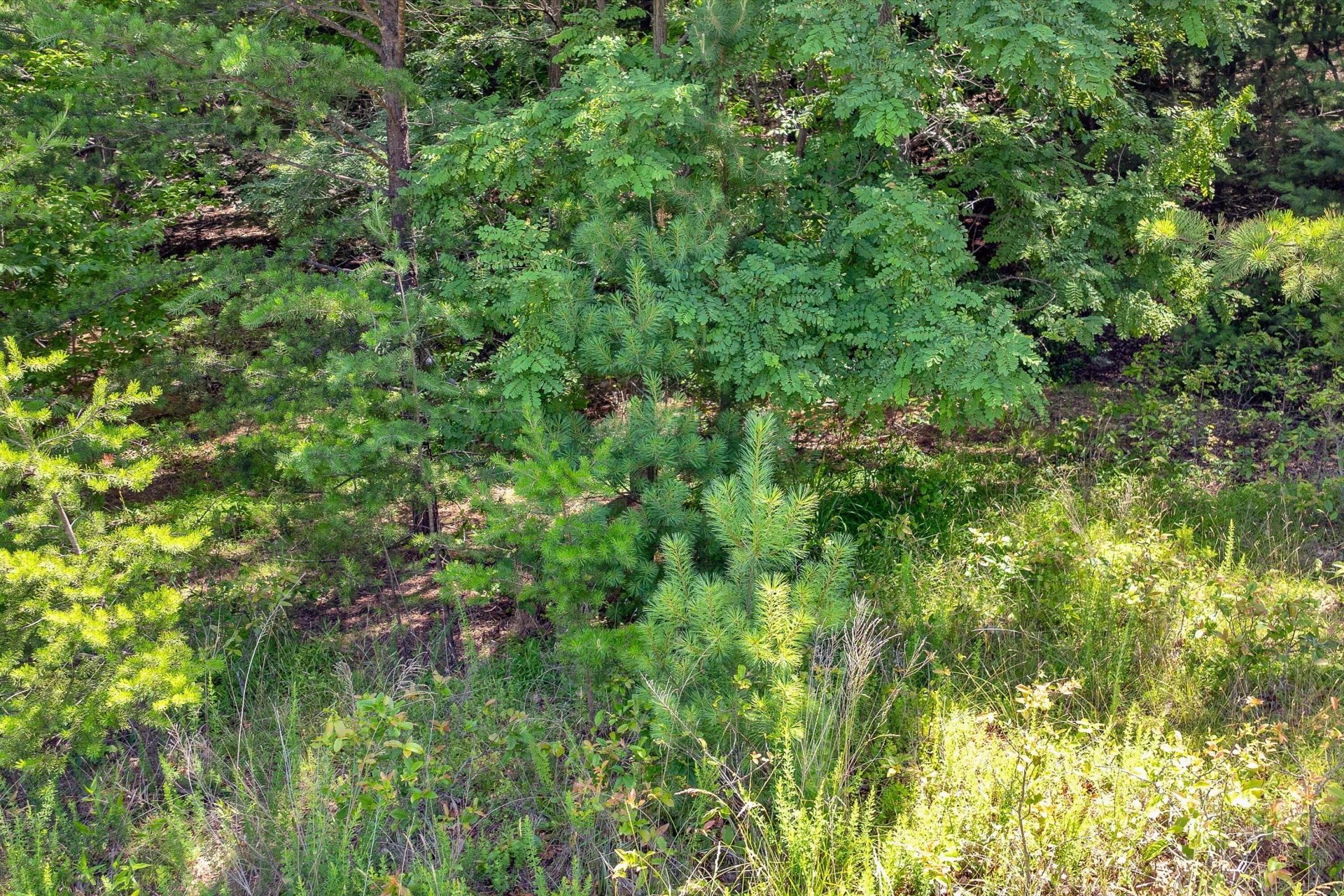 6524 Hidden Falls DR - Photo 15