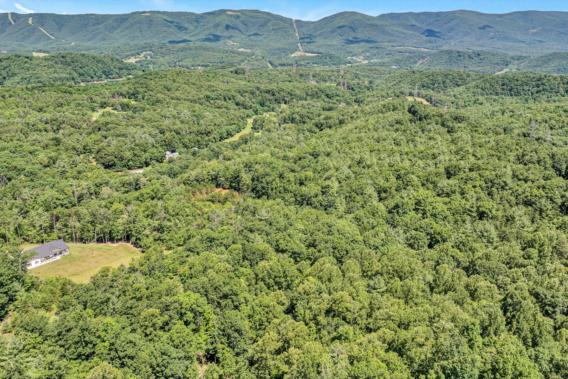 6524 Hidden Falls DR - Photo 2