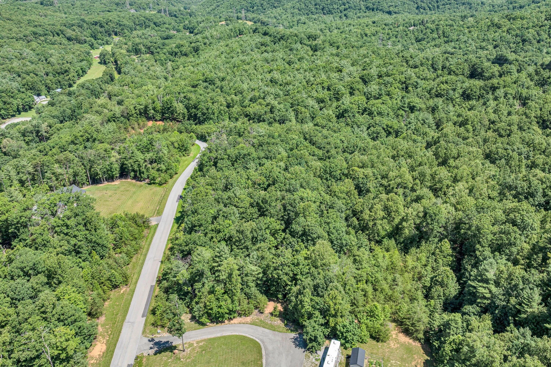 6524 Hidden Falls DR - Photo 3