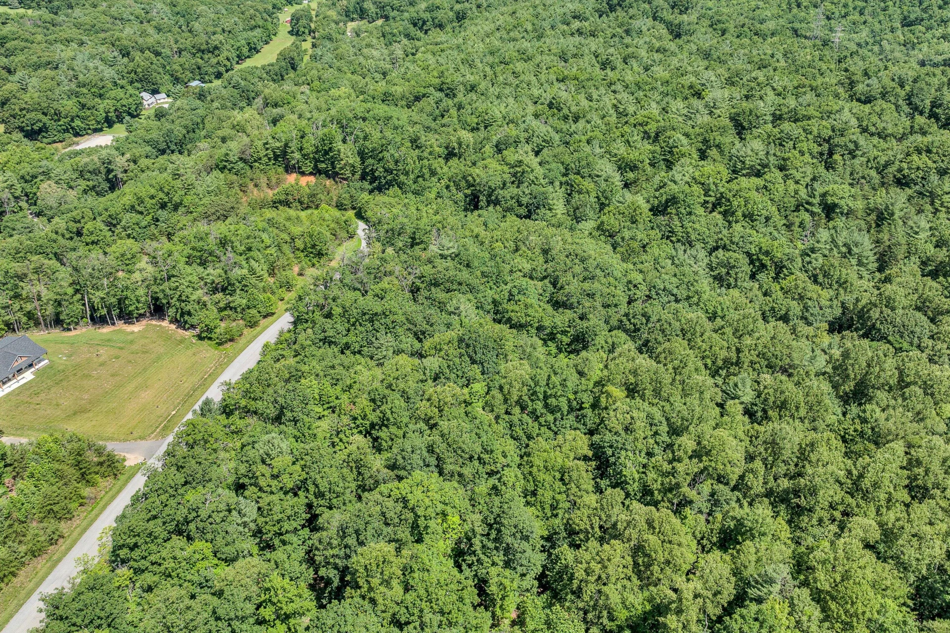 6524 Hidden Falls DR - Photo 4