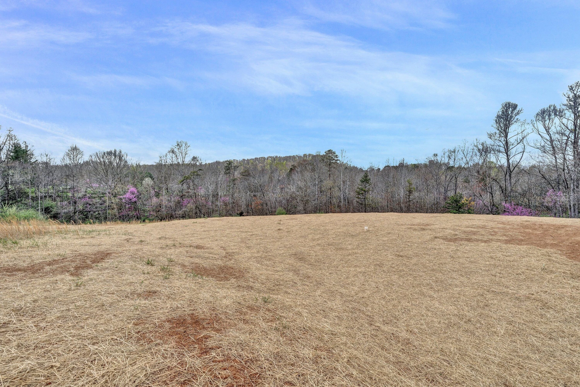 6507 Goodview RD - Photo 25