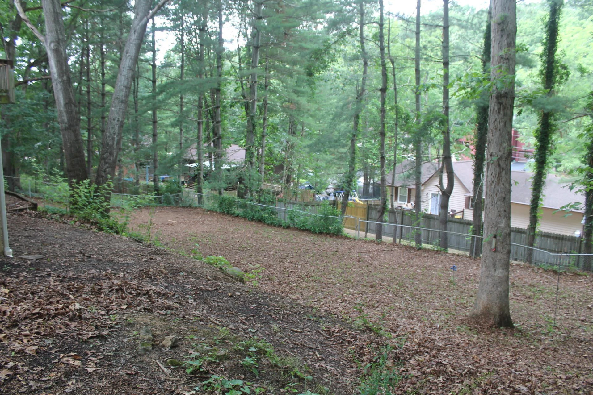 1160 Scott ST - Photo 7