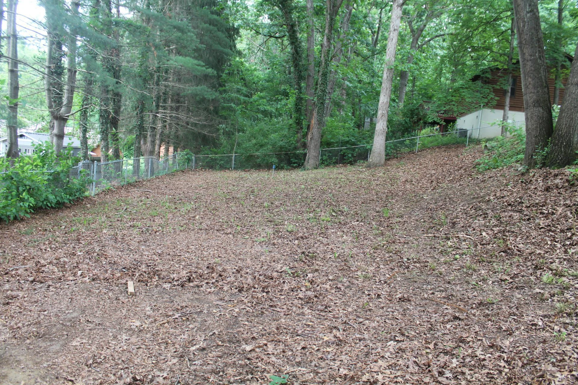 1160 Scott ST - Photo 8