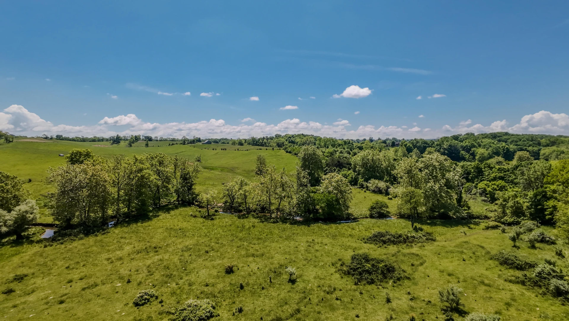 1801 Toms Creek RD - Photo 13