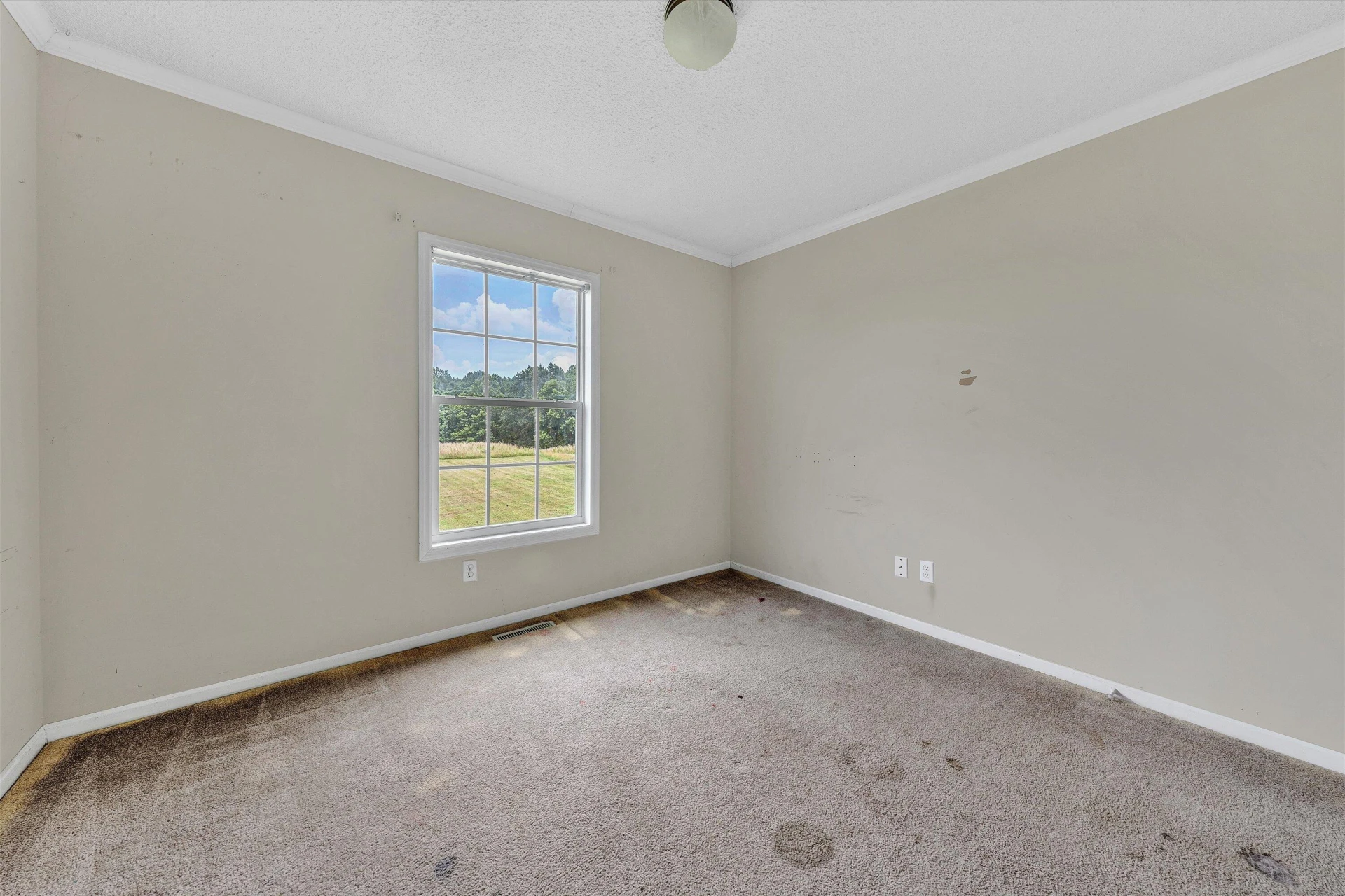 320 GREENHOUSE RD - Photo 18