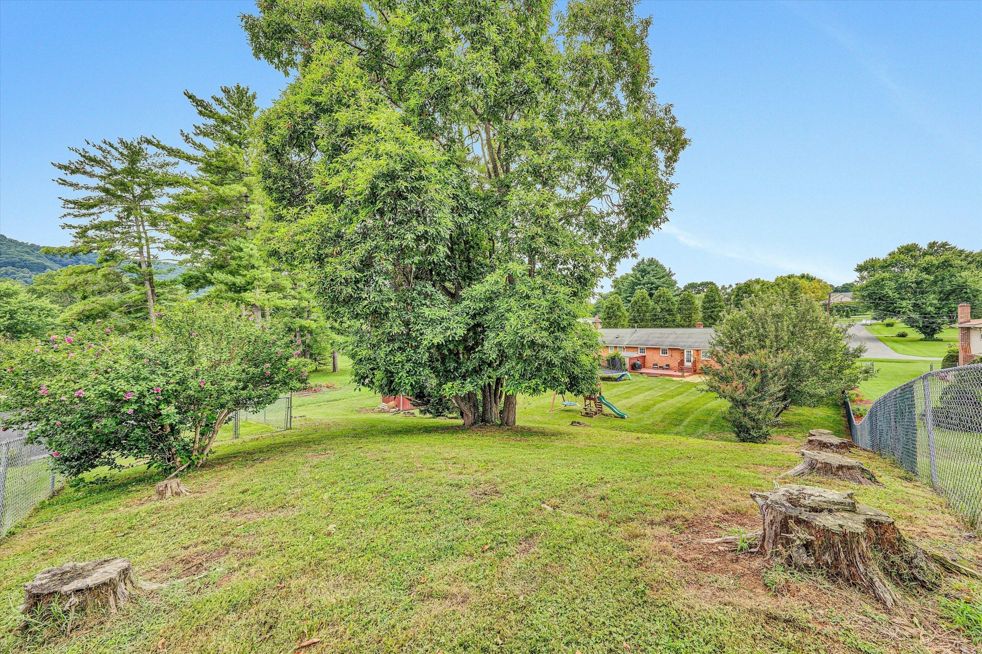 65 Camelia DR - Photo 31