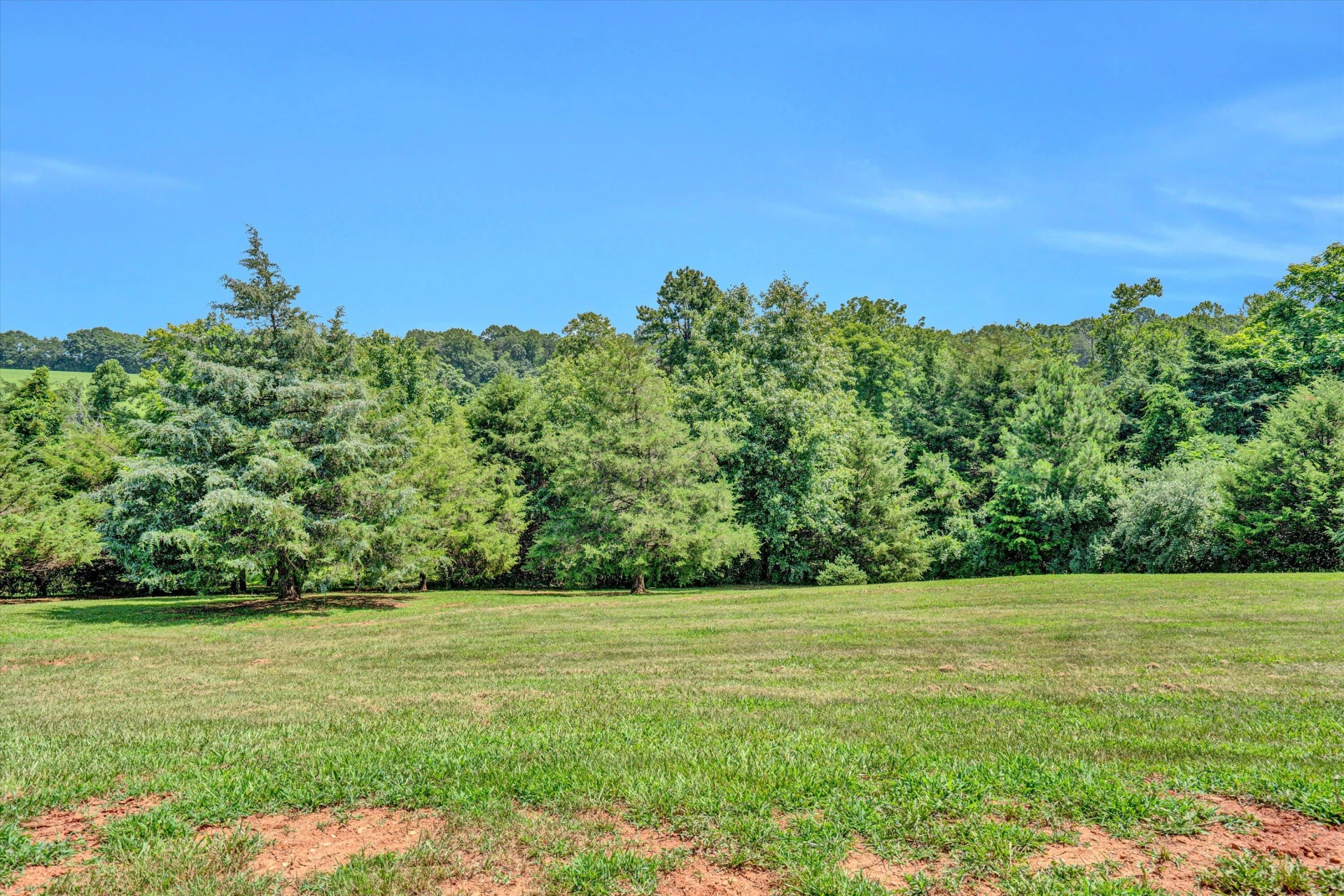 4852 Chestnut Fork RD - Photo 37