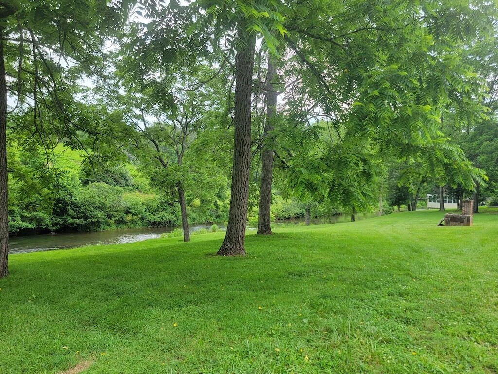 595 Gallimore LN - Photo 3