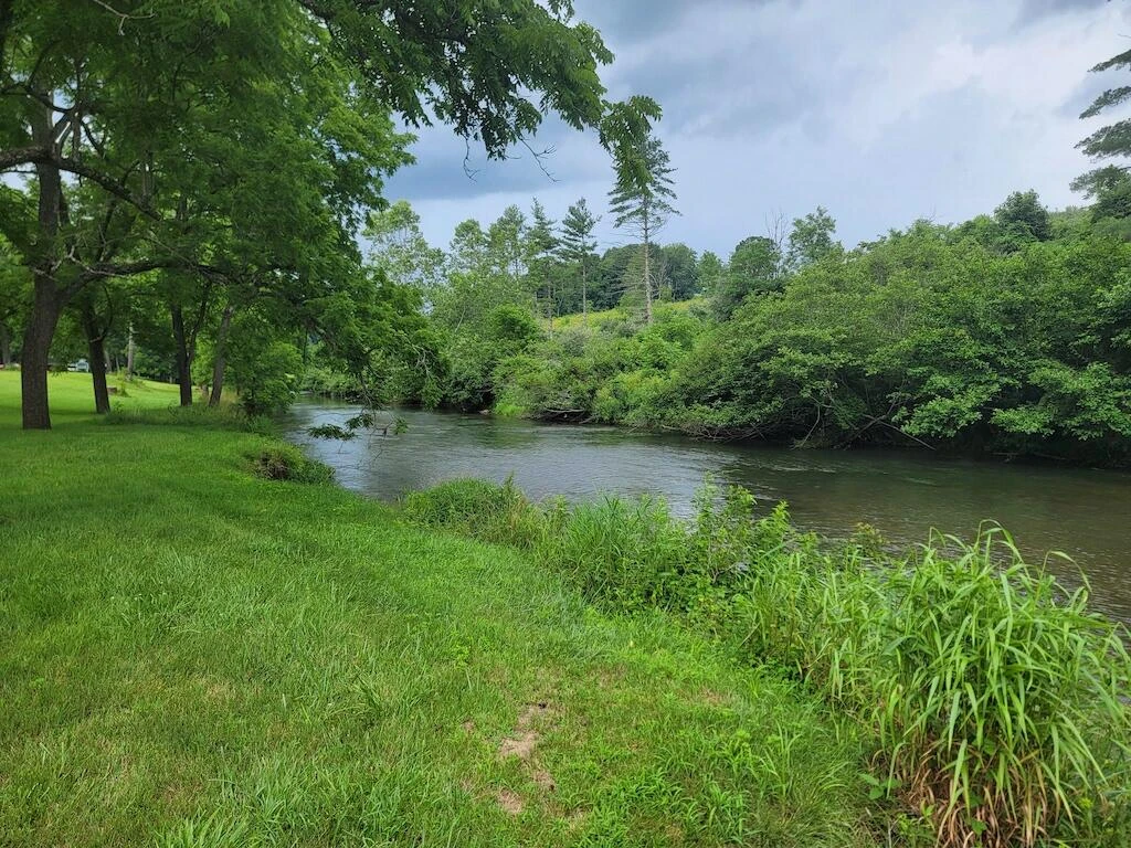 595 Gallimore LN - Photo 8