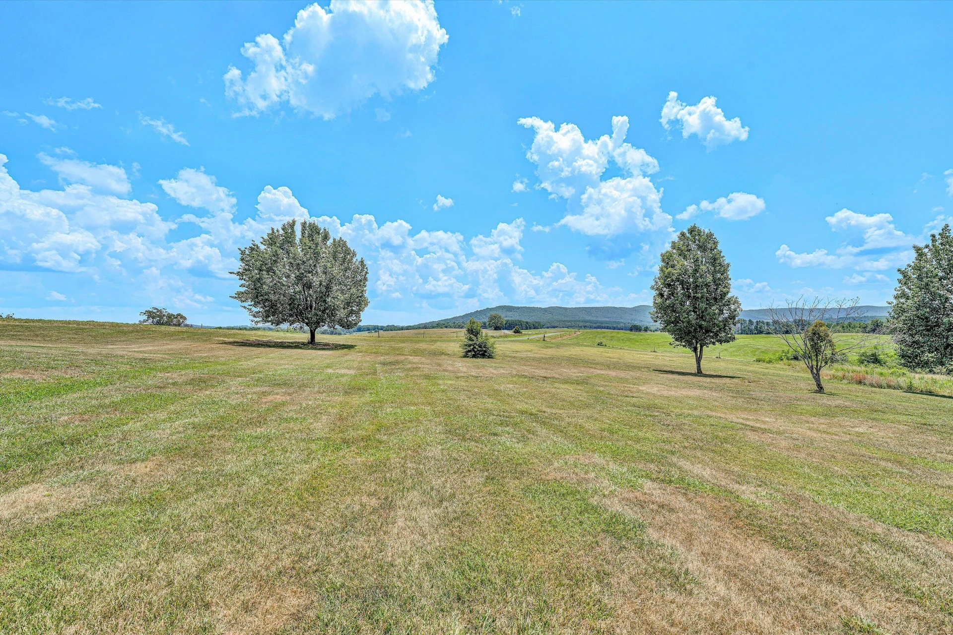 919 Sago RD - Photo 23