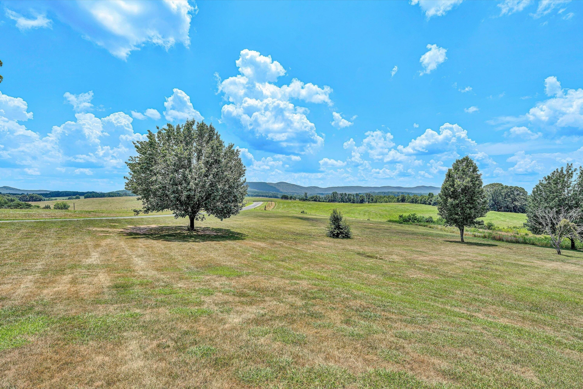 919 Sago RD - Photo 24