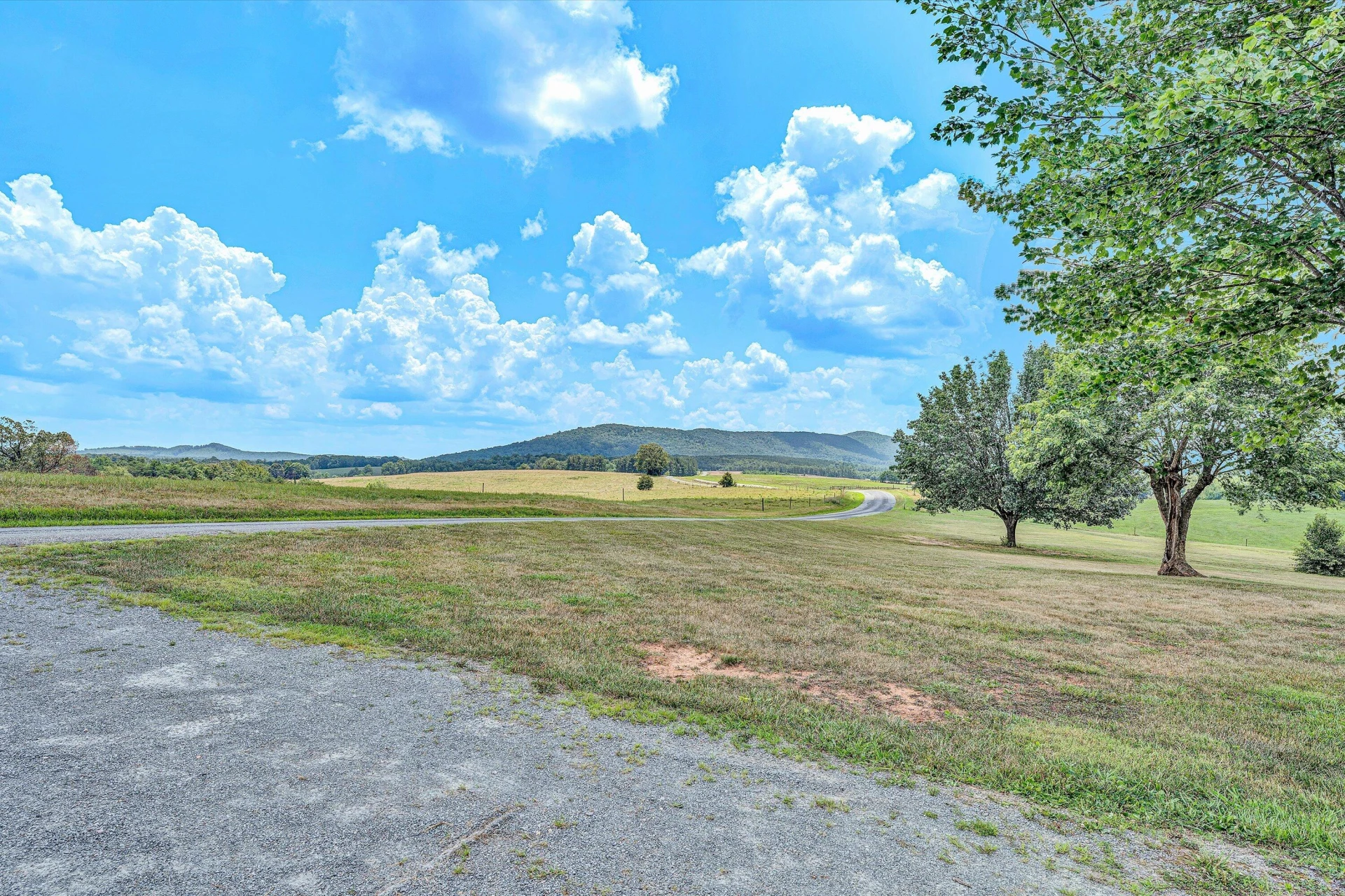 919 Sago RD - Photo 3