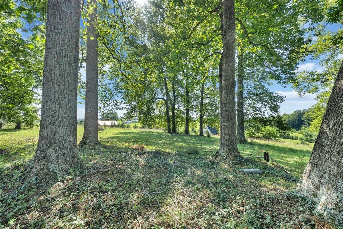 86 Long Horne RD - Photo 22