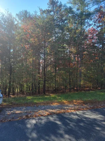 2930 New Ridge RD, Elliston, VA, 24087