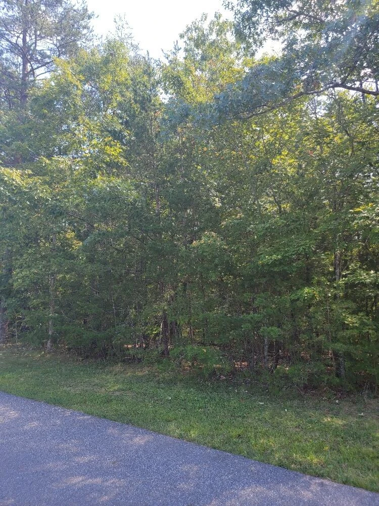 2920 New Ridge RD - Photo 2