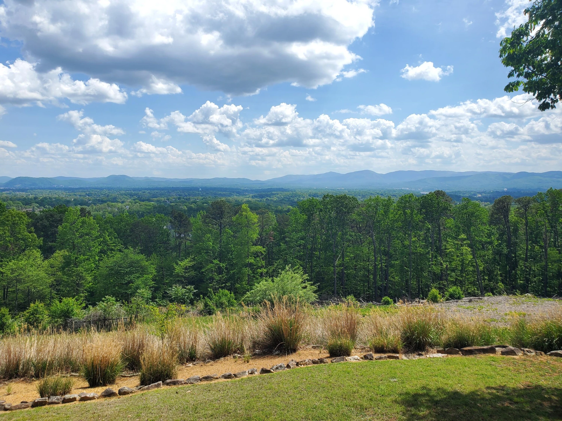 2525 Timberview RD - Photo 3