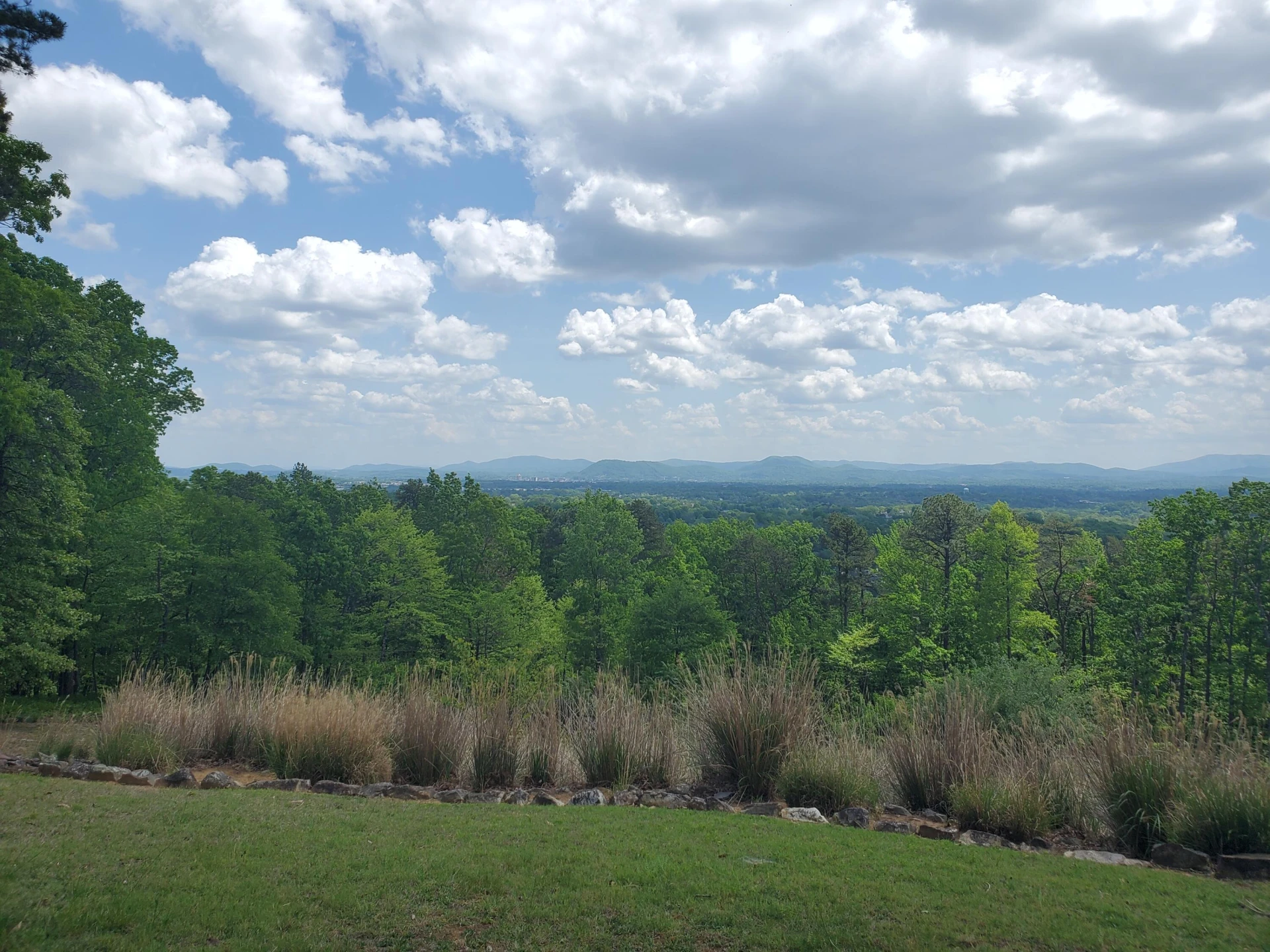 2525 Timberview RD - Photo 5
