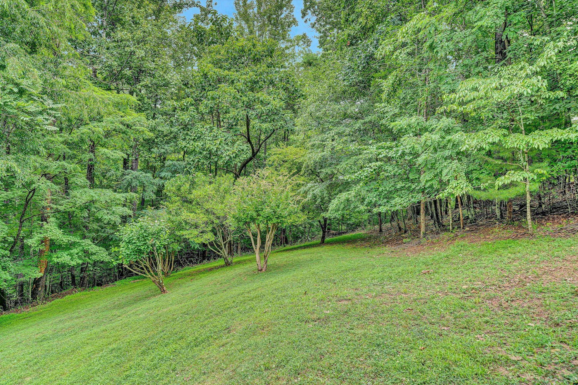 7730 Old Mill Forest DR - Photo 67