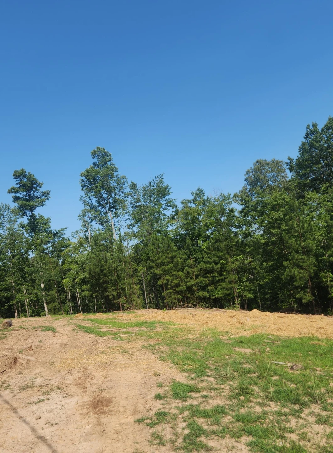 331 Blue Spruce DR