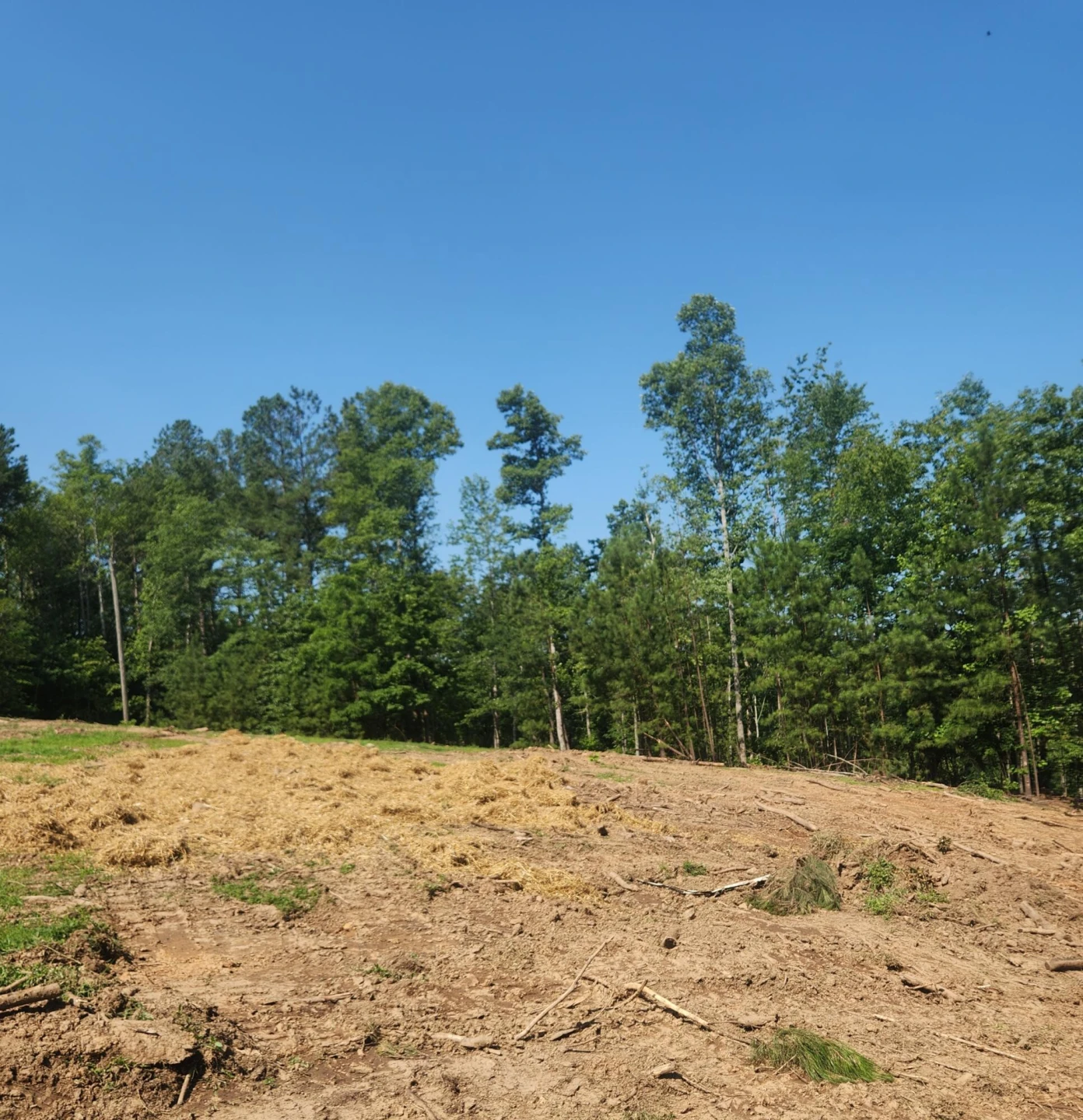 331 Blue Spruce DR - Photo 2
