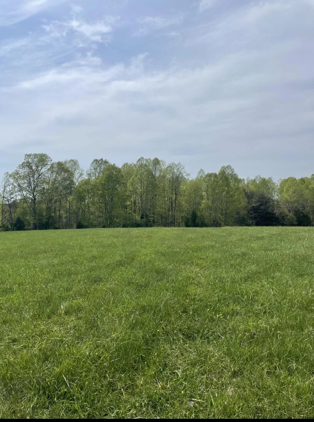 0 Housman Farm LN - Photo 2