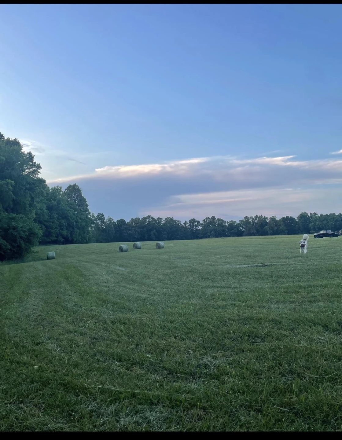 0 Housman Farm LN - Photo 4