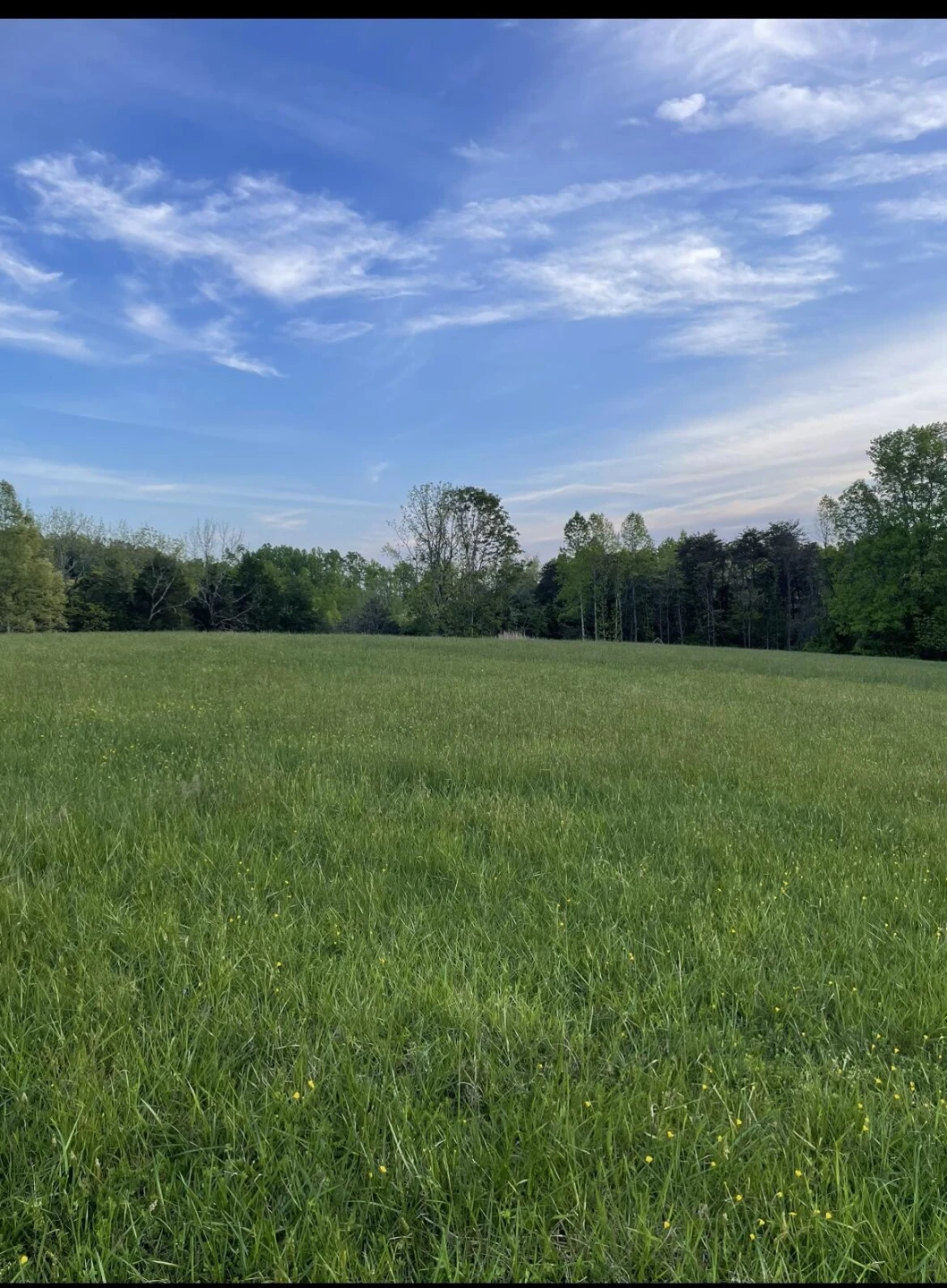 0 Housman Farm LN - Photo 5
