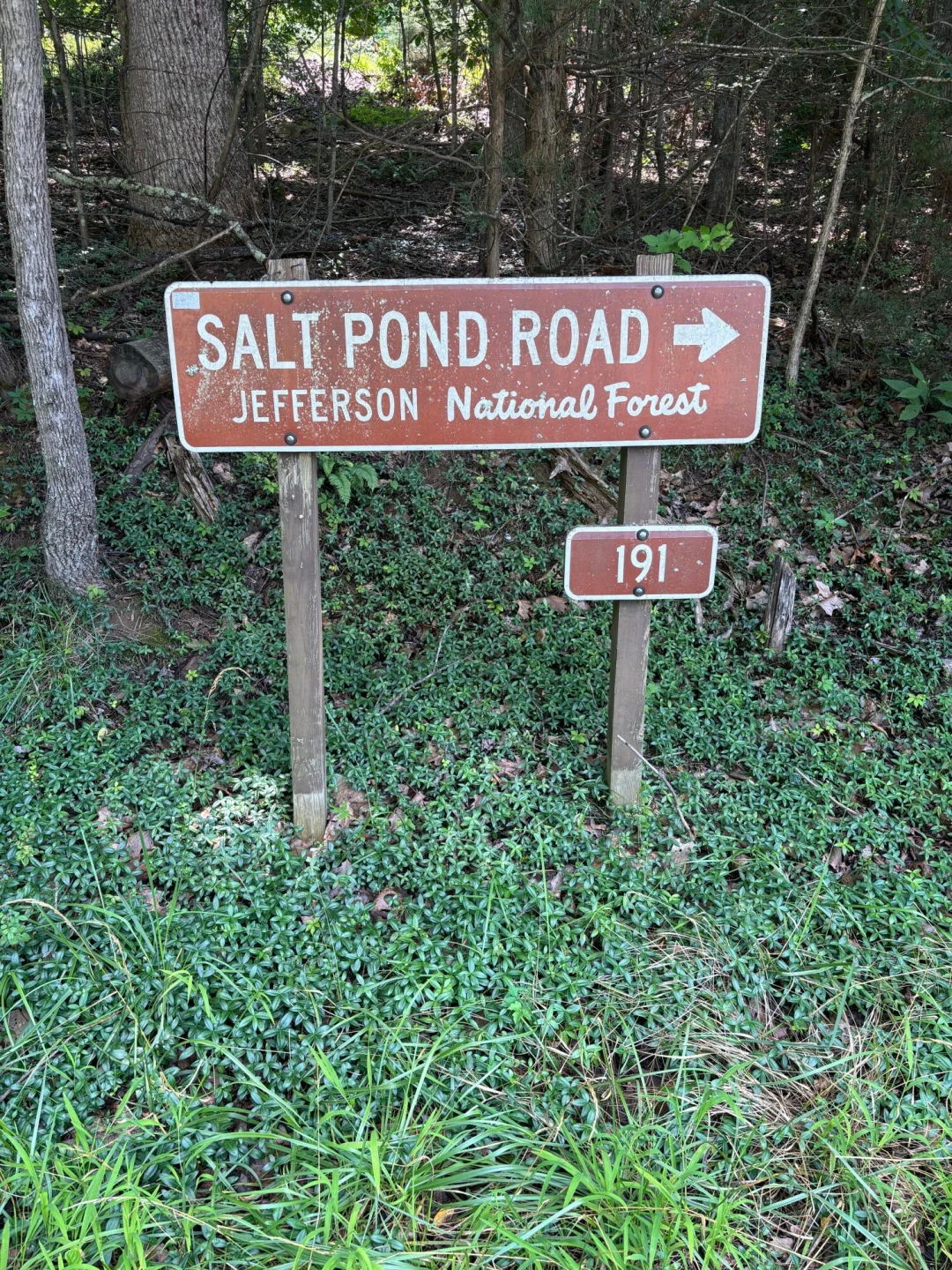 8319 Salt Pond RD - Photo 2