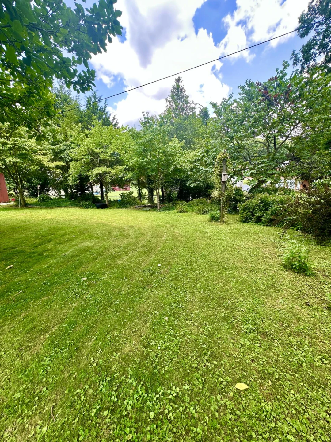 109 Vine AVE - Photo 11