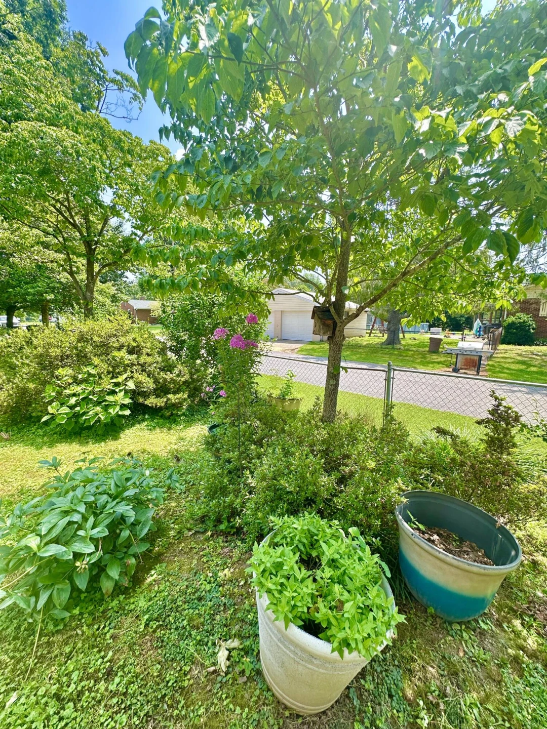 109 Vine AVE - Photo 12
